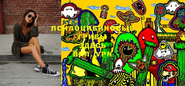 дмт Аркадак