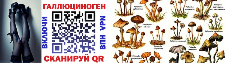 ОМГ ОМГ tor  Похвистнево  Псилоцибиновые грибы Psilocybine cubensis 